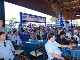 17ª ExpoGenética: 4º Encontro Nacional de Criadores Participantes do PMGZ apresenta números e novidades do programa