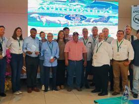 Cooperação entre ABCZ e países latino-americanos vai auxiliar no desenvolvimento da pecuária leiteira 