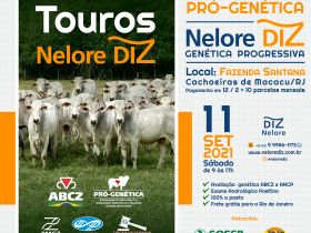 ‘3º Shopping de Touros Nelore Diz’ ofertará 47 animais neste sábado (11)