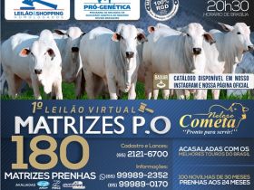 ?1º Leilão de Matrizes Cometa ? Edição Virtual? será realizado na próxima segunda-feira (29)