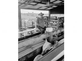 ABCZ lamenta o falecimento de Cassio Zancaner Brito