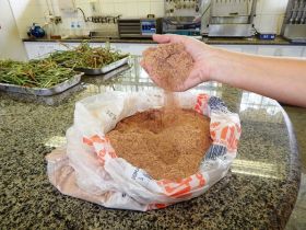 ExpoZebu 2019: Fazu concederá desconto especial nas análises de solo e de nutrição animal