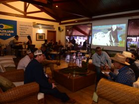 90ª ExpoZebu: Departamento Internacional da ABCZ prepara programação especial para receber visitantes estrangeiros