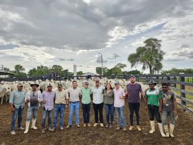 Técnico de Campo da ABCZ visita criadores bolivianos e acompanha a realização da classificação de matrizes no PMGZ Comercial