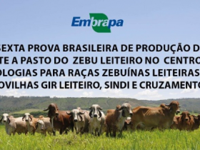 Inscrições abertas para a ?6ª Prova Brasileira de Produção de Leite a Pasto do Zebu Leiteiro?