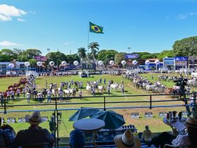 ABCZ abre inscrições para a ExpoZebu 2026 na próxima segunda-feira (26)