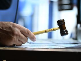 Leilões da 90ª ExpoZebu já movimentaram mais de R$ 142 milhões