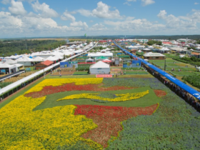 ABCZ leva genética zebuína ao Show Rural Coopavel 2016 em Cascavel