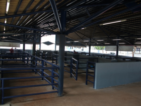 ABCZ continua execução de Plano Diretor do Parque Fernando Costa