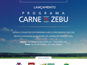 Projeto Carne de Zebu será lançado amanhã (30)