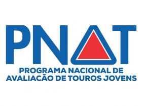 PNAT 2024: lista atualizada de touros pré-selecionados está disponível no site da ABCZ; prazo para pré-inscrição termina no dia 28