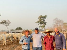 PMGZ: completo para o criador!