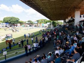 89ª ExpoZebu: emissão de boletos para quitação de inscrição de animais é feita exclusivamente por e-mail sob demanda
