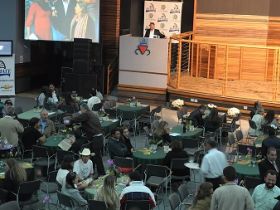 Leilões da ExpoZebu 2015 começam nesta quinta 