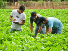 FAZU inicia ano letivo com novidades