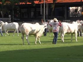 ABCZ TV retransmite julgamentos da Expoinel Minas