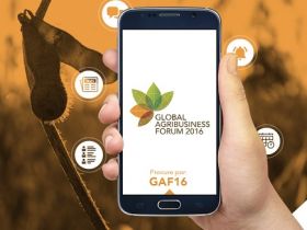 GAF 2016 será transmitido pelo Centro de Referência da Pecuária Brasileira - Zebu