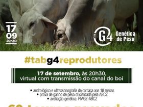 ?Leilão TAB-G4 Reprodutores? vai oferecer 60 touros provados amanhã (17)