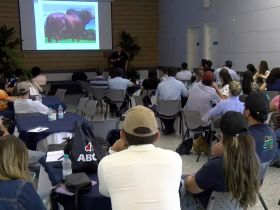 ExpoLeite: ABCZ realizará Curso de Avaliação Morfológica de Raças Zebuínas Leiteiras