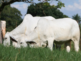 Inscrições abertas para dois cursos de Pós-Graduação da FAZU