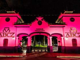 Zebu do Bem se mobiliza em prol do Outubro Rosa