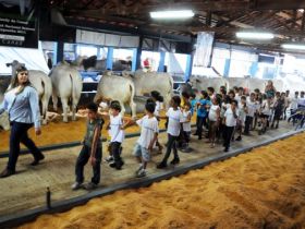 Caça ao tesouro é uma das atrações da ExpoZebu para estudantes 