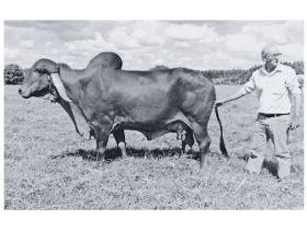 ABCZ lamenta falecimento de Wagney Azevedo Leão