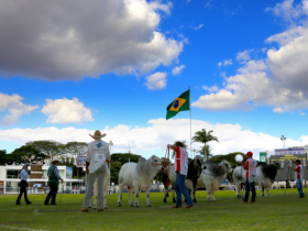 Brahman debate o futuro da pecuária e da raça durante a ExpoZebu 2017