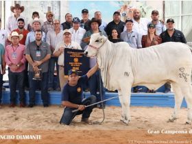 Vice-Presidentes da ABCZ participam da VII Exposición Nacional de Razas de Origen Indiano e realizam o lançamento do Comcebu 2024 no México