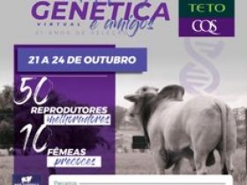 Faltam poucos dias para o 3º Shopping Genética Teto Virtual e Amigos 