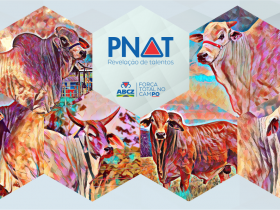 ABCZ divulga catálogo unificado com touros PNAT