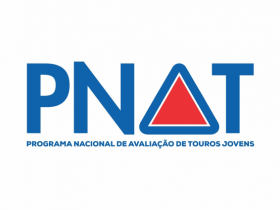 ABCZ investe em marketing e logística de distribuição de touros PNAT