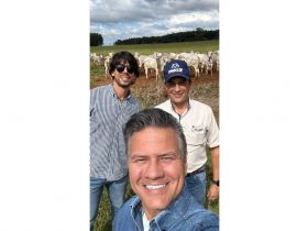 ABCZ acompanha avaliação de touros da USP Pirassununga pelo PMGZ