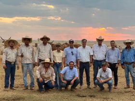 ABCZ acompanha bons resultados do PMGZ em propriedades do Nelore BoiZ, em Angélica (MS)