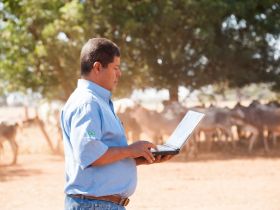 Atualização do Produz traz novas ferramentas para otimizar a gestão do rebanho