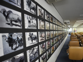 Primeiro fotógrafo da ABCZ será homenageado