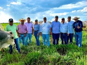 Equipes técnica e de fomento do PMGZ participam de Dia de Campo e Leilão de Touros da Fazenda Jacamim, em Nova Mutum (MT)