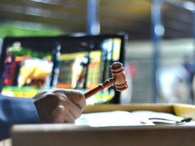 3ª ExpoLeite: agenda de leilões da feira movimentou mais de R$ 9,8 milhões