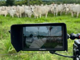 Rota do PMGZ: primeira temporada de 2024 alcança todo o estado do Tocantins, de norte a sul