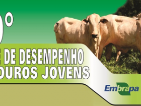 Prazo final para inscrições no Teste de Touros Jovens da Embrapa/AGCZ
