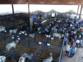 ABCZ divulga resultado do PNAT 2018