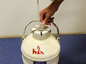 Seleção VRJO doa material genético para o Projeto Genômica ABCZ