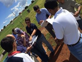Estrangeiros visitam FAZU para ver pesquisa sobre brachiaria hibrida