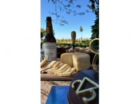 ABCZ promove Festival Queijo, Cachaça e Viola e 1º Encontro e Concurso de Violeiros Amador e Mirim