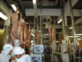 Exportações de carne bovina ultrapassam 1 milhão de toneladas