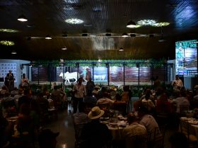 Leilões da 18ª ExpoGenética já movimentaram mais de R$ 92 milhões