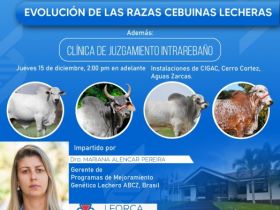 Gerente do PMGZ Leite ministra palestra em seminário internacional sobre a evolução das raças zebuínas leiteiras