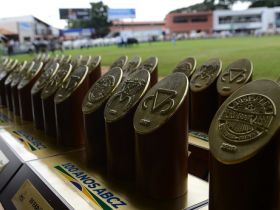 Material genético de touros Grandes Campeões da ExpoZebu 2019 já foi colhido para PMGZ Genômica