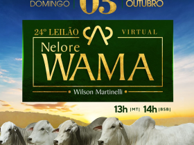 Faltam 5 dias para o “24º Leilão Virtual Nelore Wama – Reprodutores”    