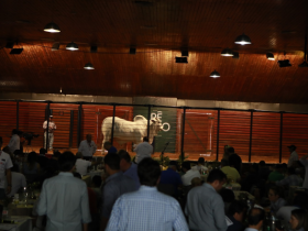 ExpoZebu 2019 já conta com 35 leilões e shoppings de animais
